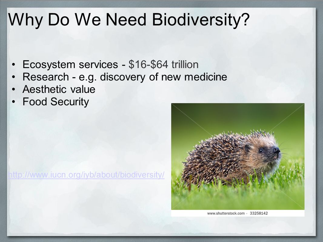 Why Do We Need Biodiversity. Ecosystem services - $16-$64 trillion Research - e.g.