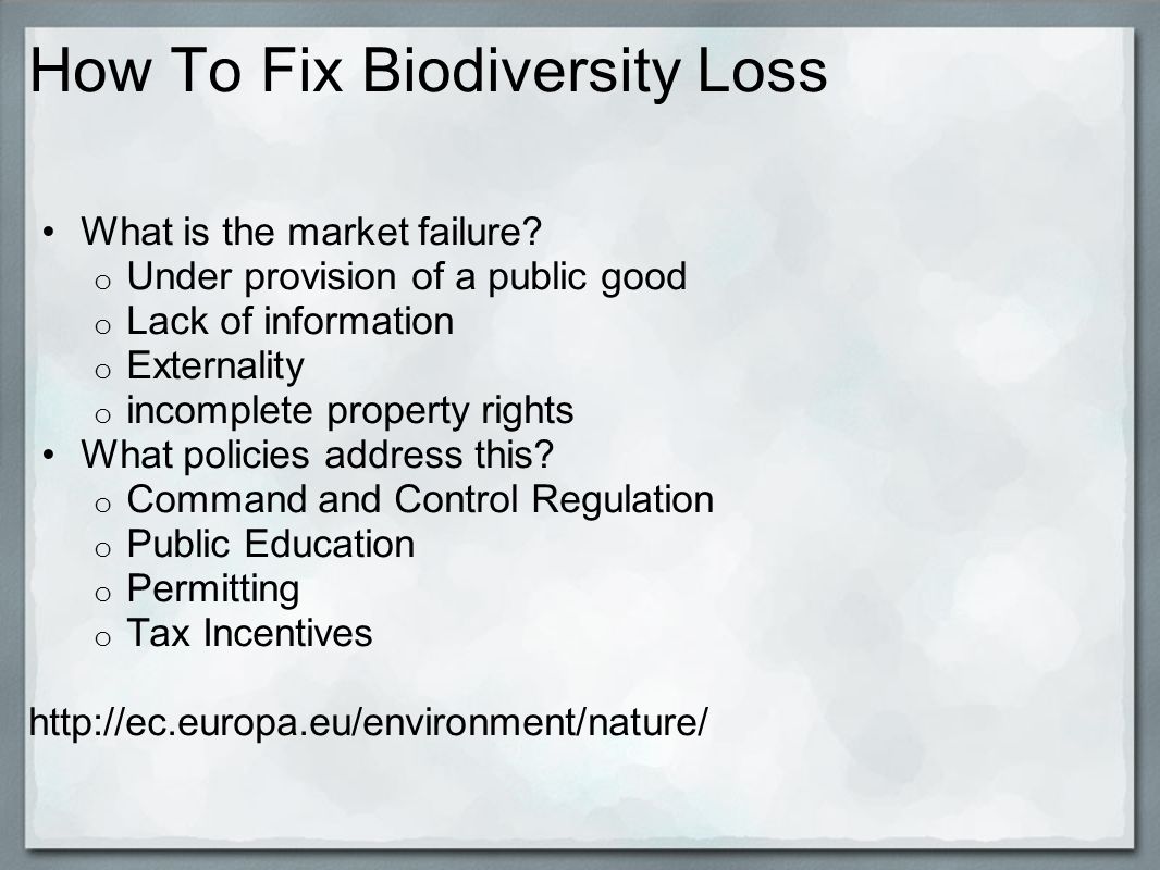 How To Fix Biodiversity Loss What is the market failure.