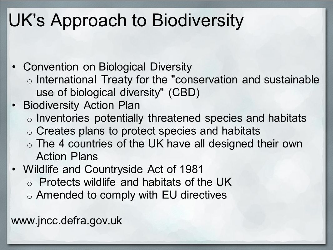 UK s Approach to Biodiversity Convention on Biological Diversity o International Treaty for the conservation and sustainable use of biological diversity (CBD) Biodiversity Action Plan o Inventories potentially threatened species and habitats o Creates plans to protect species and habitats o The 4 countries of the UK have all designed their own Action Plans Wildlife and Countryside Act of 1981 o Protects wildlife and habitats of the UK o Amended to comply with EU directives