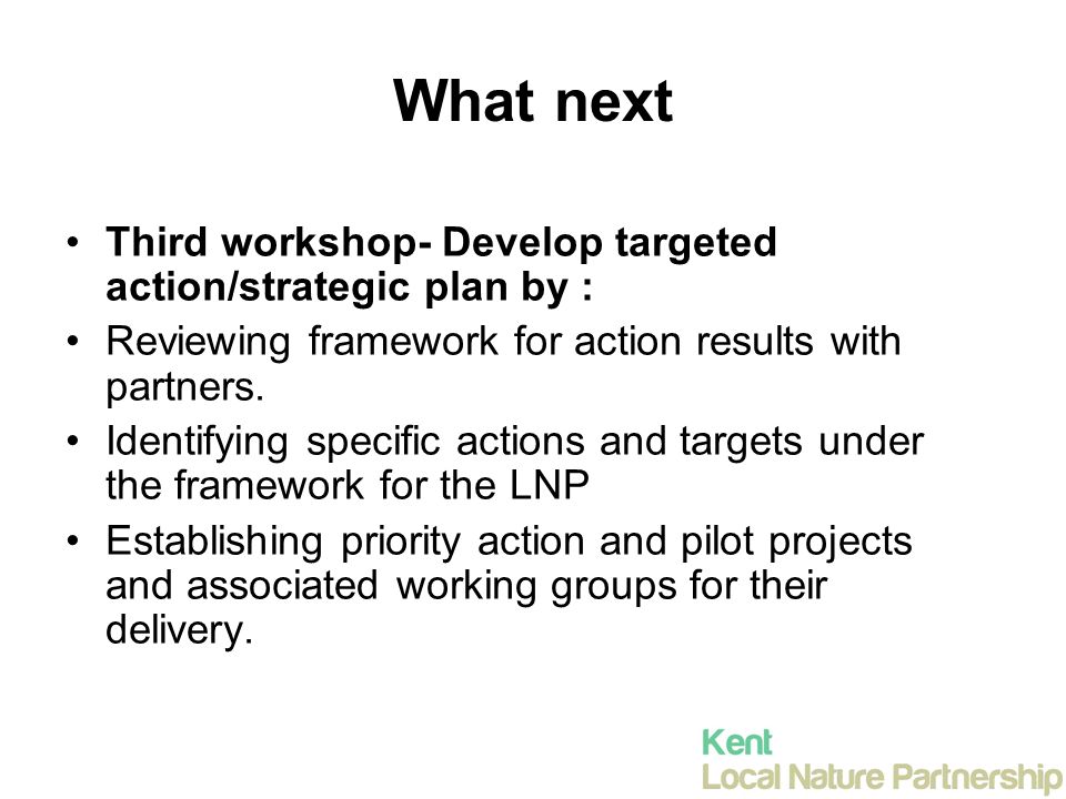What next Third workshop- Develop targeted action/strategic plan by : Reviewing framework for action results with partners.