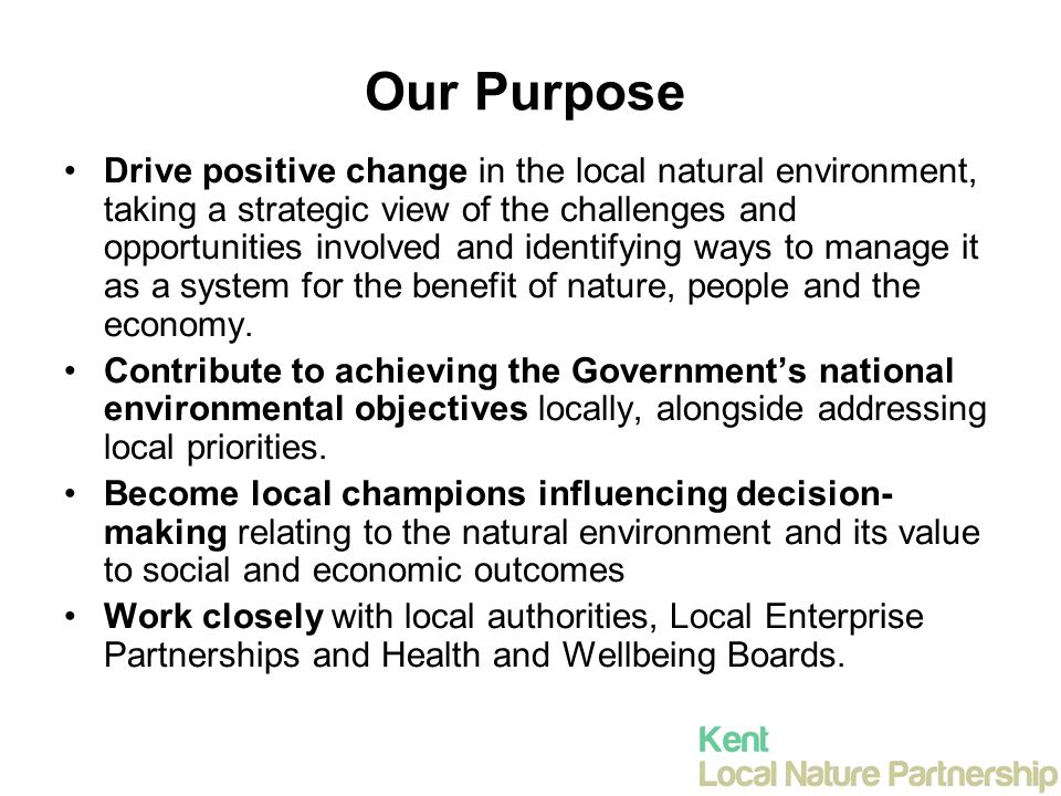 Our Purpose Drive positive change in the local natural environment, taking a strategic view of the challenges and opportunities involved and identifying ways to manage it as a system for the benefit of nature, people and the economy.