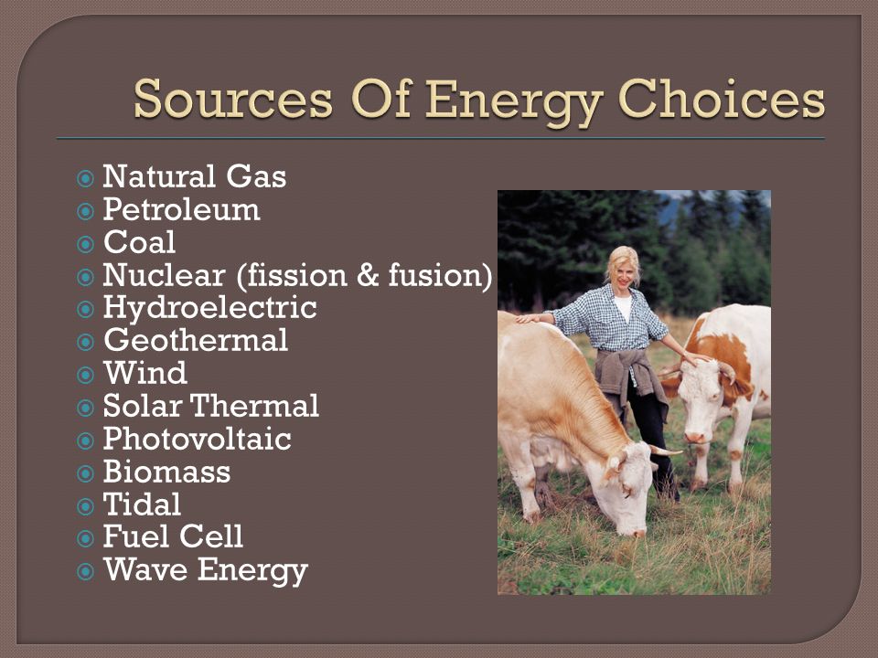  Natural Gas  Petroleum  Coal  Nuclear (fission & fusion)  Hydroelectric  Geothermal  Wind  Solar Thermal  Photovoltaic  Biomass  Tidal  Fuel Cell  Wave Energy