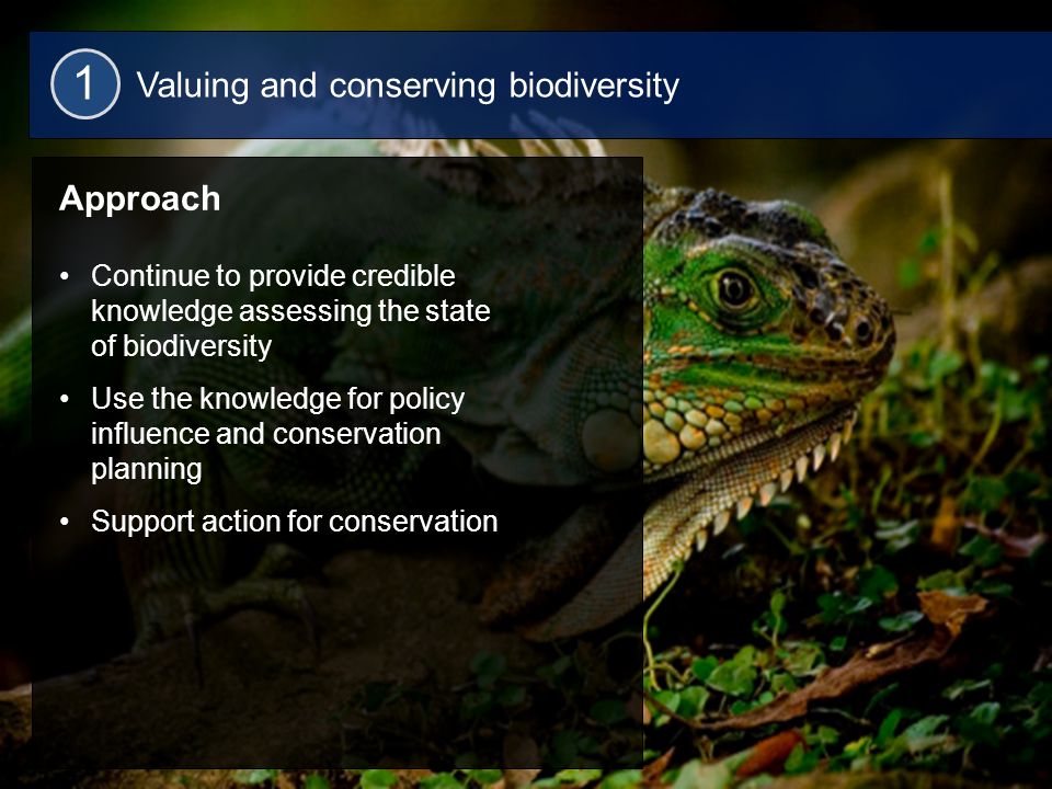 13 Valuing and conserving biodiversity 1 Approach Continue to provide credible knowledge assessing the state of biodiversity Use the knowledge for policy influence and conservation planning Support action for conservation