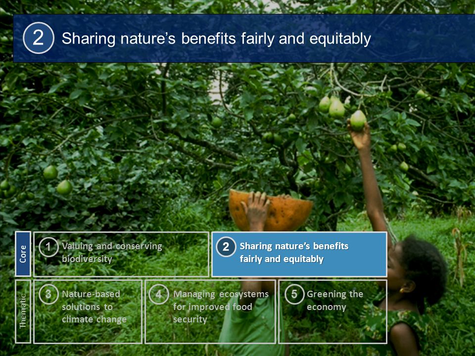 15 Sharing nature’s benefits fairly and equitably 2 Nature-based solutions to climate change 3 Valuing and conserving biodiversity 1 Sharing nature’s benefits fairly and equitably Core Thematic Managing ecosystems for improved food security Greening the economy 2 45