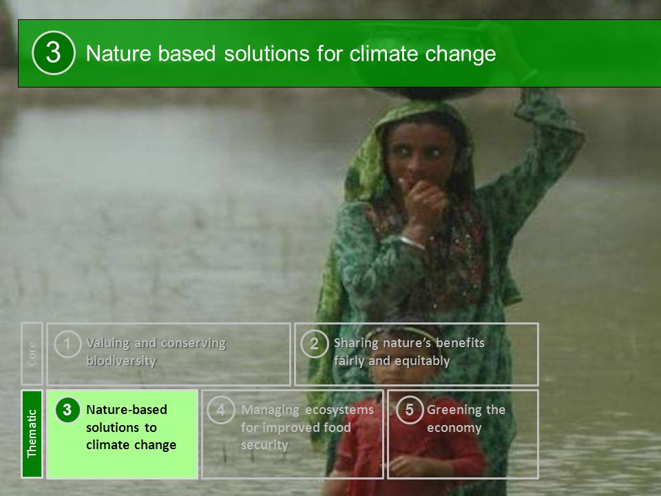 18 Nature based solutions for climate change 3 Nature-based solutions to climate change 3 Valuing and conserving biodiversity 1 Sharing nature’s benefits fairly and equitably Core Thematic Managing ecosystems for improved food security Greening the economy 2 45