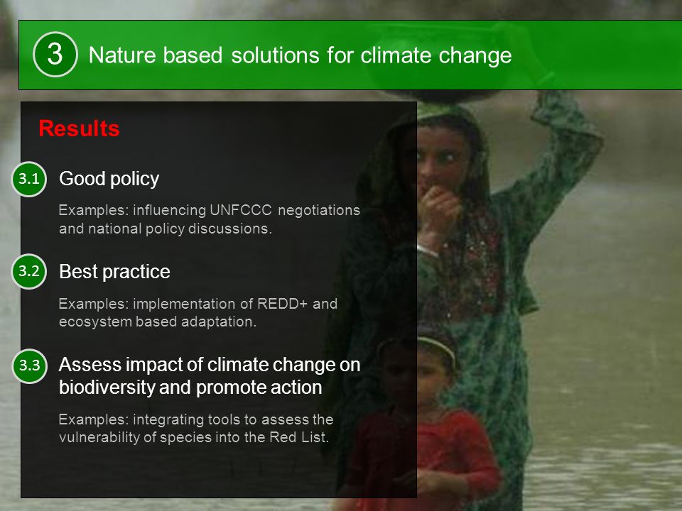 20 Results Good policy Examples: influencing UNFCCC negotiations and national policy discussions.