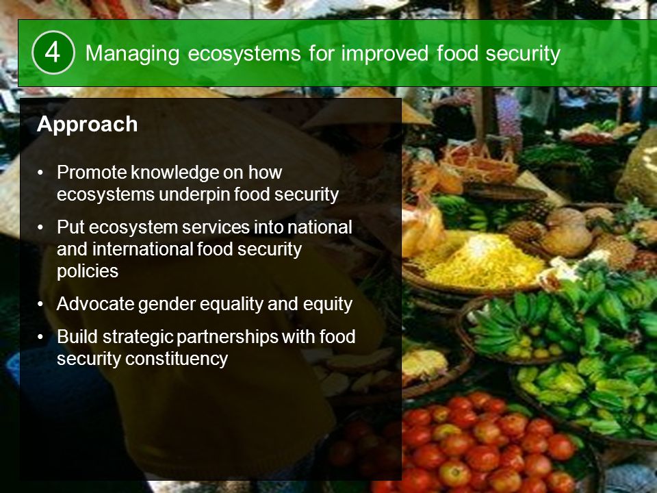 22 Approach Promote knowledge on how ecosystems underpin food security Put ecosystem services into national and international food security policies Advocate gender equality and equity Build strategic partnerships with food security constituency Managing ecosystems for improved food security 4