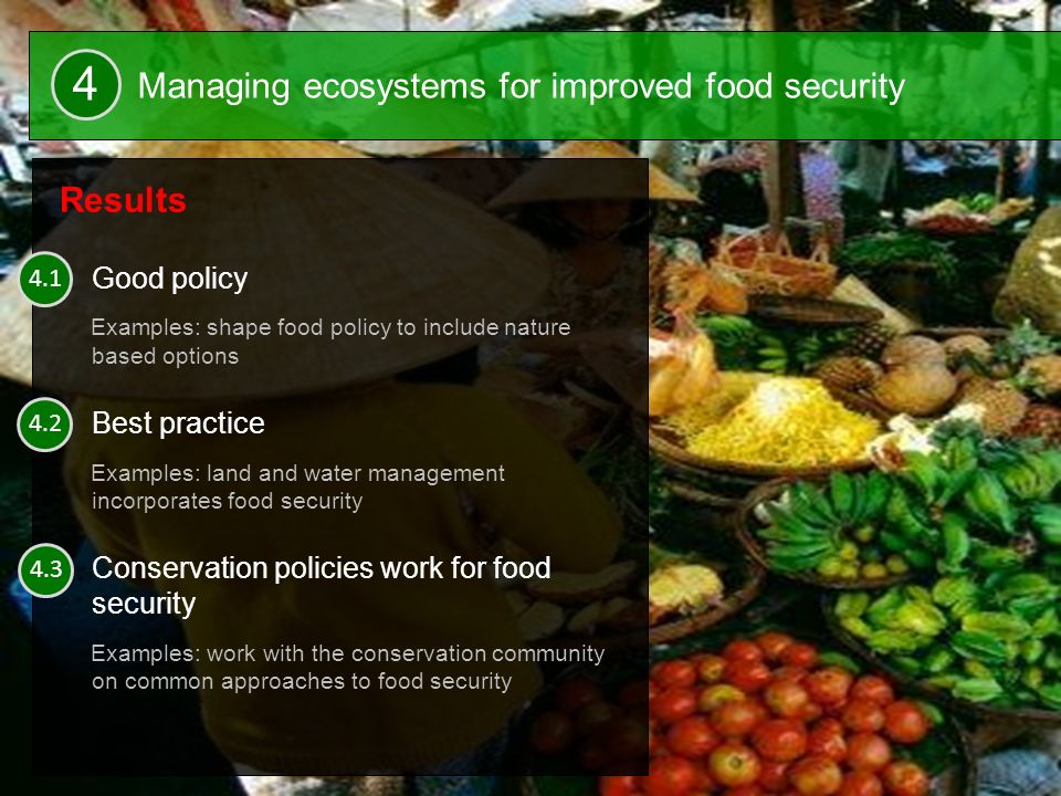 23 Results Good policy Examples: shape food policy to include nature based options Best practice Examples: land and water management incorporates food security Conservation policies work for food security Examples: work with the conservation community on common approaches to food security Managing ecosystems for improved food security 4