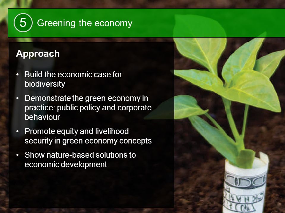 25 Approach Build the economic case for biodiversity Demonstrate the green economy in practice: public policy and corporate behaviour Promote equity and livelihood security in green economy concepts Show nature-based solutions to economic development Greening the economy 5