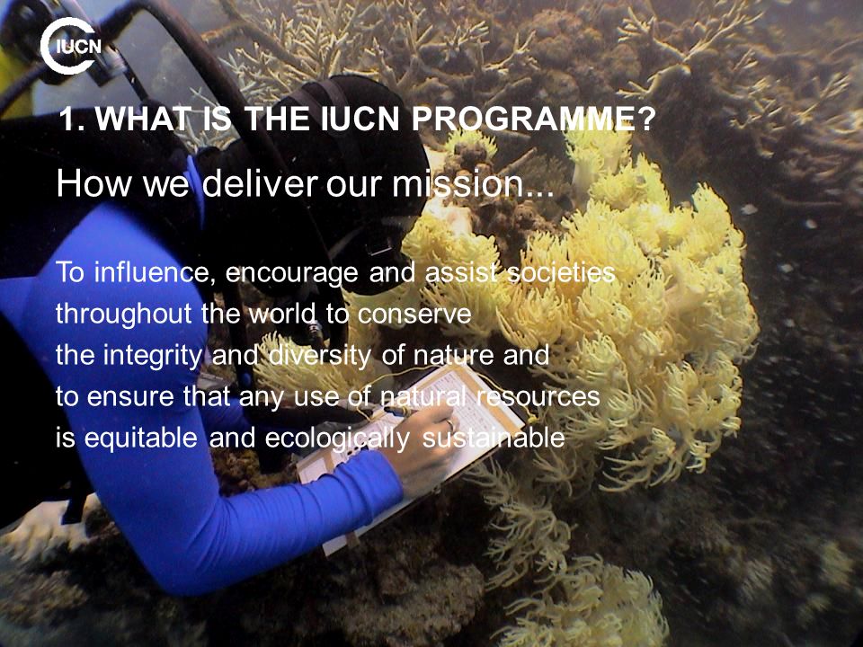 1. WHAT IS THE IUCN PROGRAMME. How we deliver our mission...
