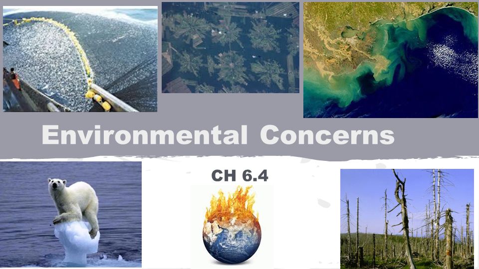 Environmental Concerns CH 6.4