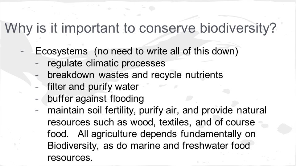 Why is it important to conserve biodiversity.