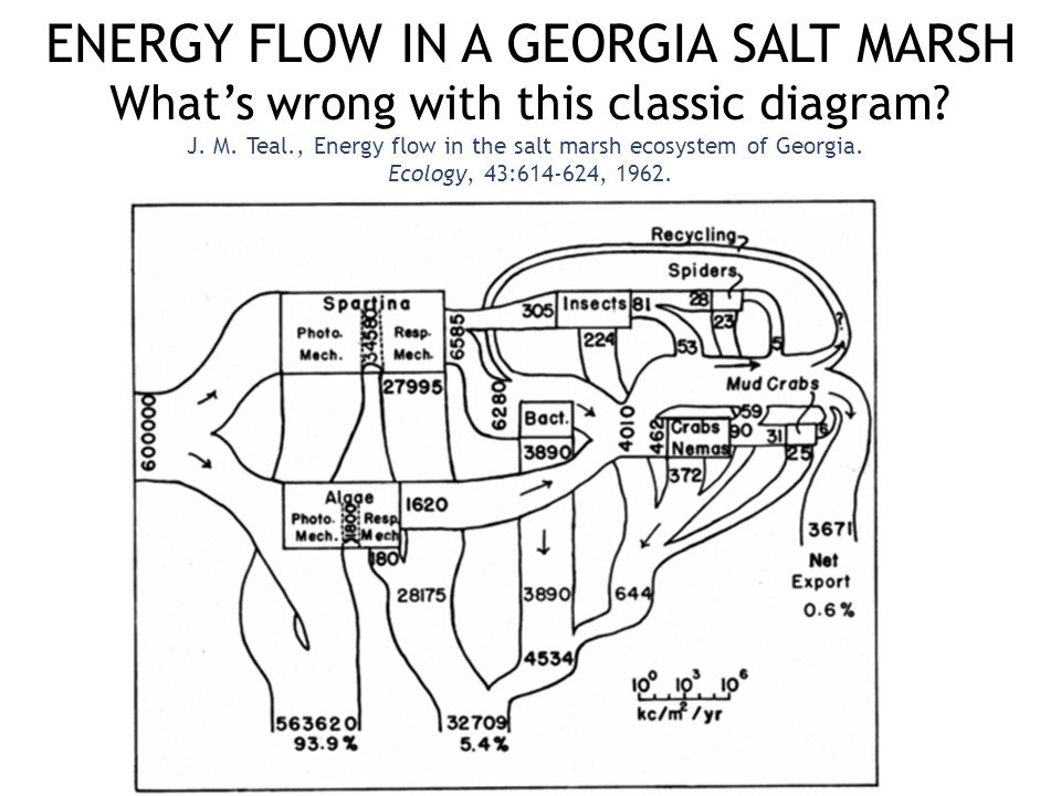 ENERGY FLOW IN A GEORGIA SALT MARSH What’s wrong with this classic diagram.