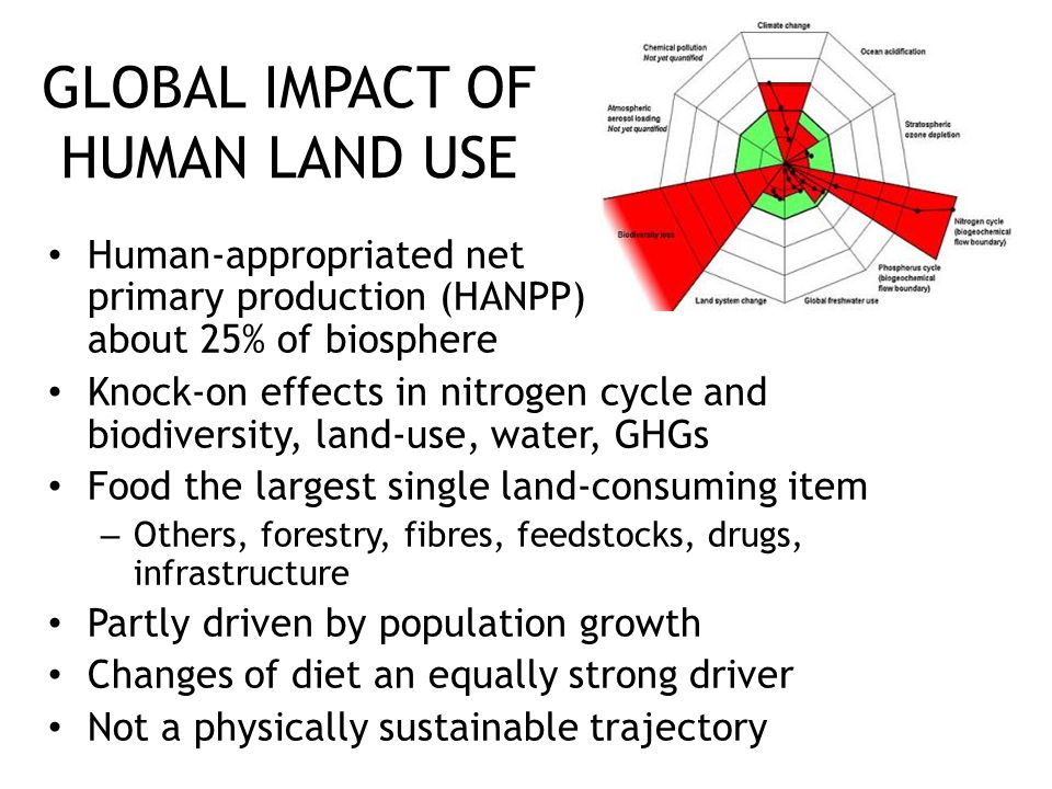 GLOBAL IMPACT OF HUMAN LAND USE Human-appropriated net primary production (HANPP) about 25% of biosphere Knock-on effects in nitrogen cycle and biodiversity, land-use, water, GHGs Food the largest single land-consuming item – Others, forestry, fibres, feedstocks, drugs, infrastructure Partly driven by population growth Changes of diet an equally strong driver Not a physically sustainable trajectory