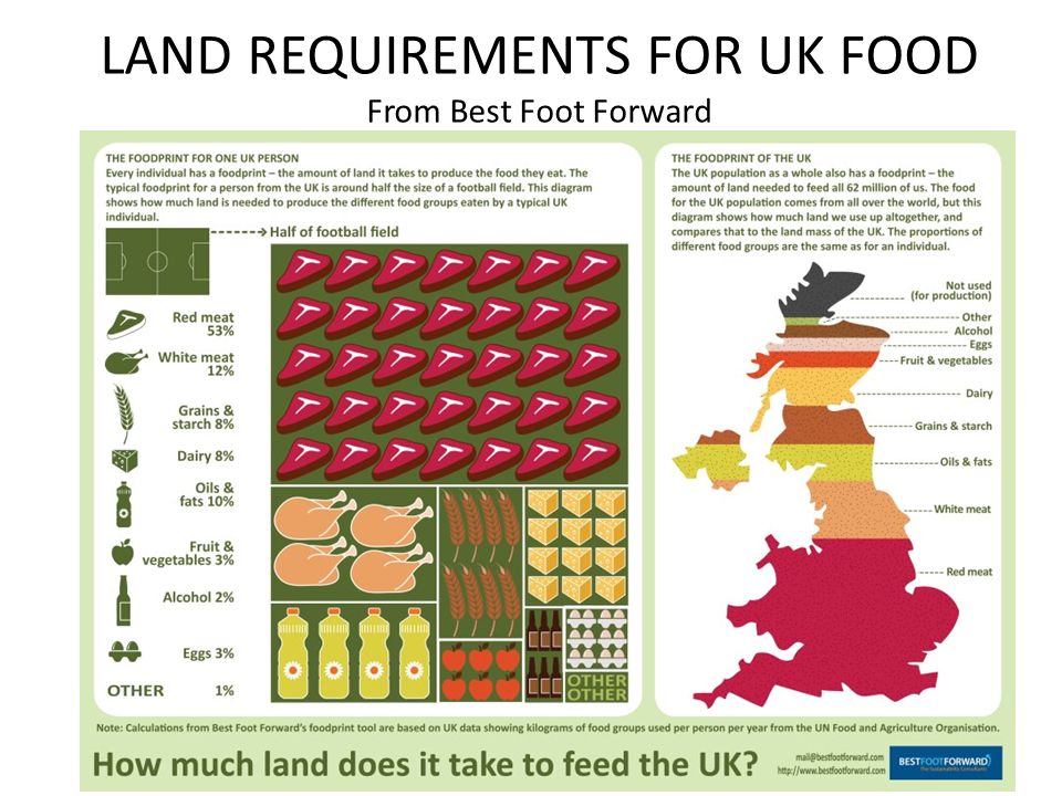 LAND REQUIREMENTS FOR UK FOOD From Best Foot Forward