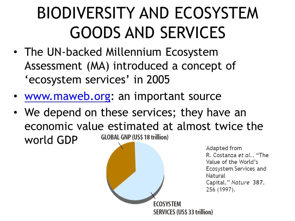 BIODIVERSITY AND ECOSYSTEM GOODS AND SERVICES The UN-backed Millennium Ecosystem Assessment (MA) introduced a concept of ‘ecosystem services’ in an important source   We depend on these services; they have an economic value estimated at almost twice the world GDP Adapted from R.