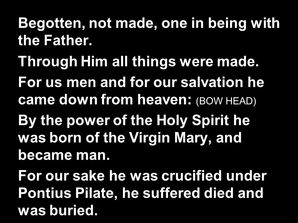 Begotten, not made, one in being with the Father. Through Him all things were made.