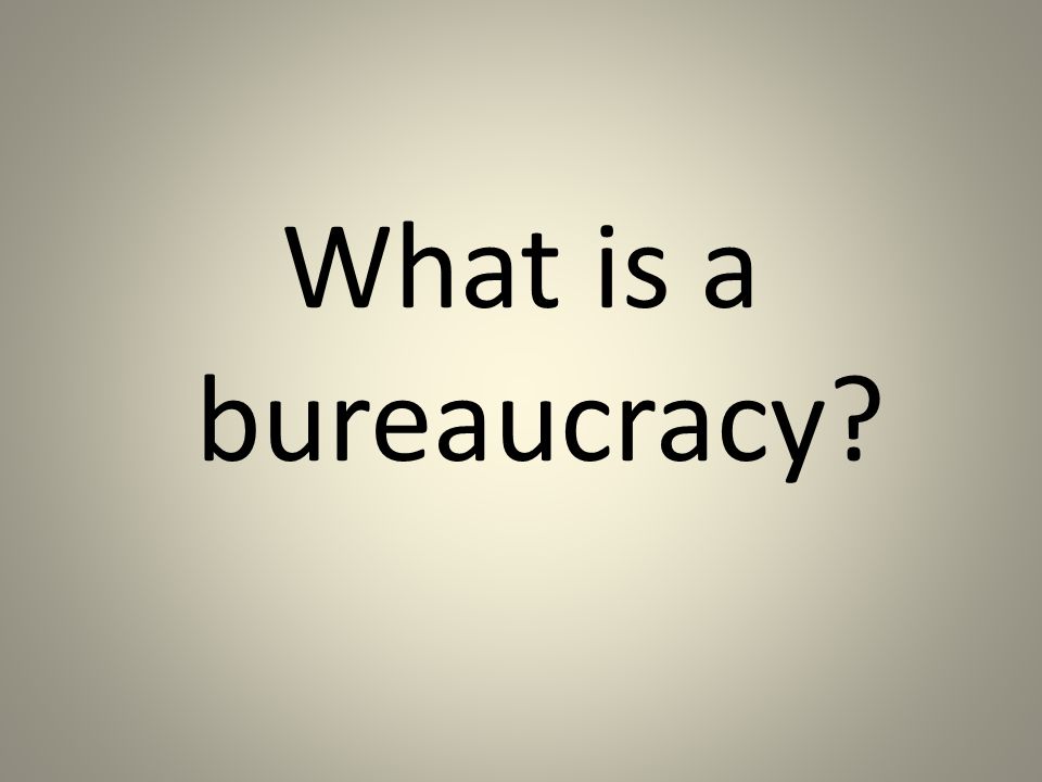What is a bureaucracy
