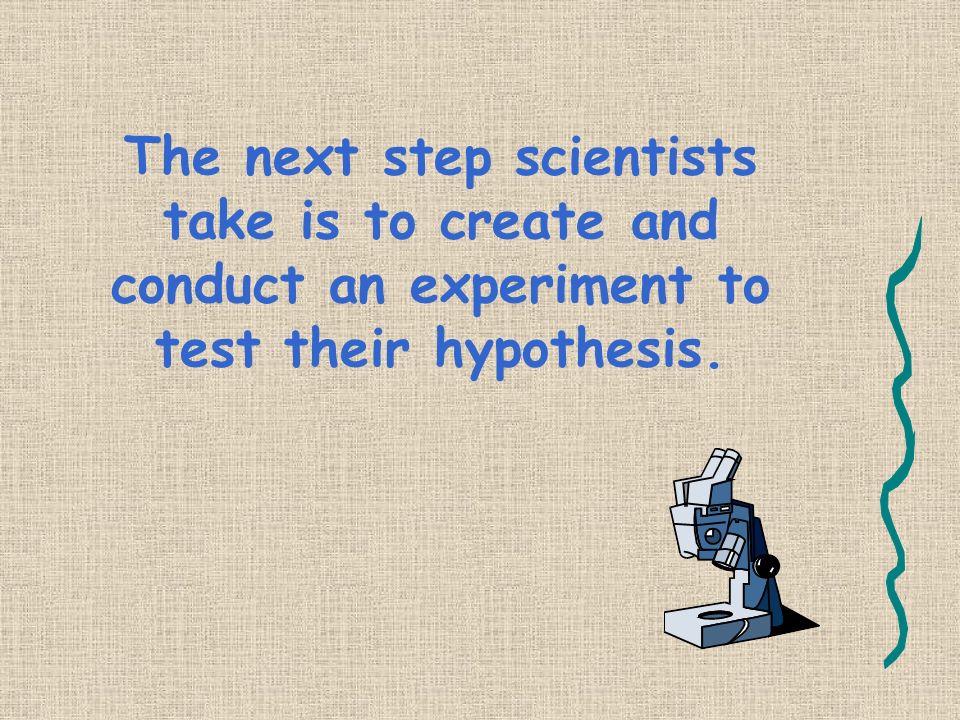 Scientists develop a question, gather information and form an hypothesis.
