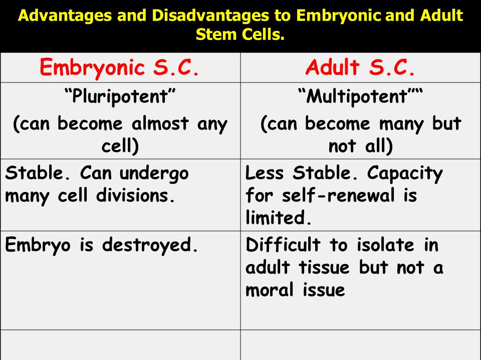 what are the advantages and disadvantages of embryonic stem cells
