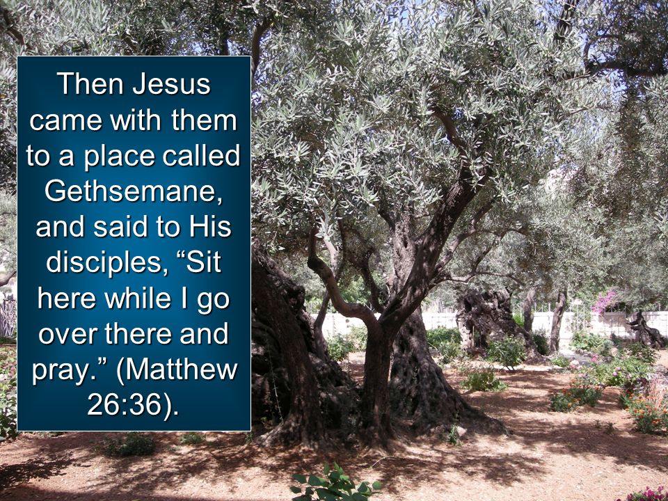Then Jesus came with them to a place called Gethsemane, and said to His disciples, Sit here while I go over there and pray. (Matthew 26:36).