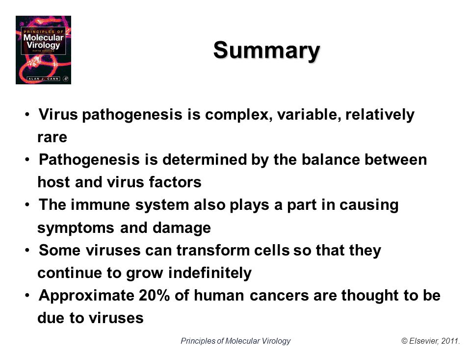 © Elsevier, 2011.Principles of Molecular Virology Summary Virus pathogenesis is complex, variable, relatively rare Pathogenesis is determined by the balance between host and virus factors The immune system also plays a part in causing symptoms and damage Some viruses can transform cells so that they continue to grow indefinitely Approximate 20% of human cancers are thought to be due to viruses