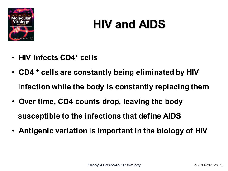 © Elsevier, 2011.Principles of Molecular Virology HIV and AIDS HIV infects CD4 + cells CD4 + cells are constantly being eliminated by HIV infection while the body is constantly replacing them Over time, CD4 counts drop, leaving the body susceptible to the infections that define AIDS Antigenic variation is important in the biology of HIV