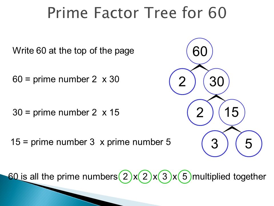 Prime Number – An integer whose only factors are 1 and itself 2, 3, 5, 7,11, 13, 17, 19