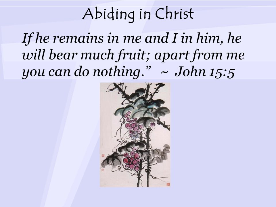 Abiding in Christ If he remains in me and I in him, he will bear much fruit; apart from me you can do nothing. ~ John 15:5