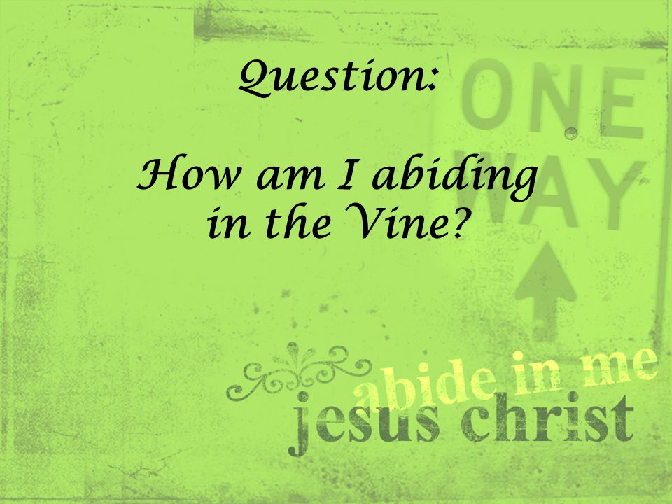 Question: How am I abiding in the Vine