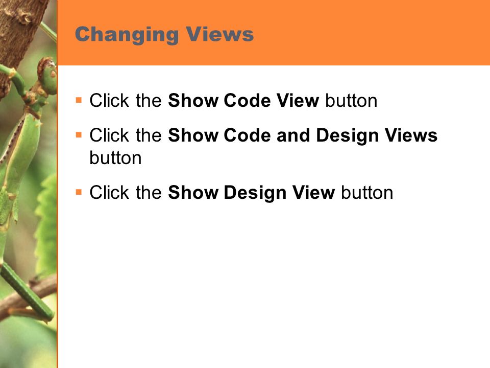 Changing Views  Click the Show Code View button  Click the Show Code and Design Views button  Click the Show Design View button