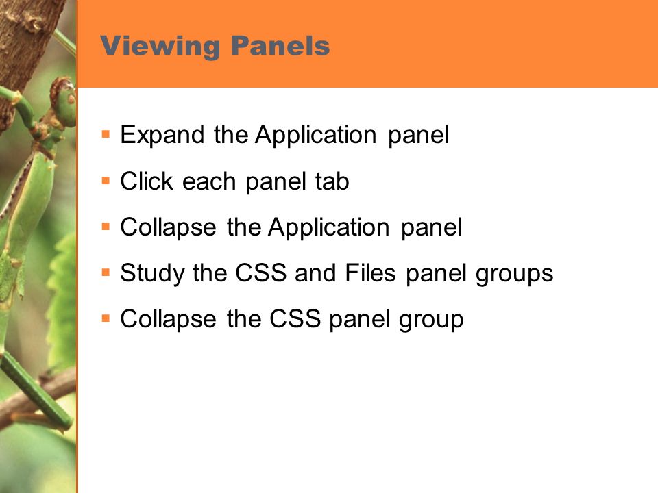 Viewing Panels  Expand the Application panel  Click each panel tab  Collapse the Application panel  Study the CSS and Files panel groups  Collapse the CSS panel group