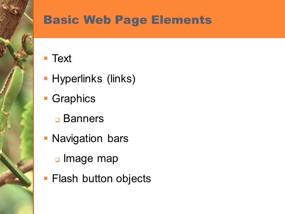 Basic Web Page Elements  Text  Hyperlinks (links)  Graphics  Banners  Navigation bars  Image map  Flash button objects