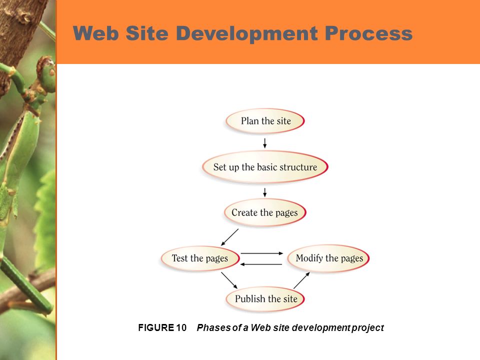 Web Site Development Process FIGURE 10 Phases of a Web site development project