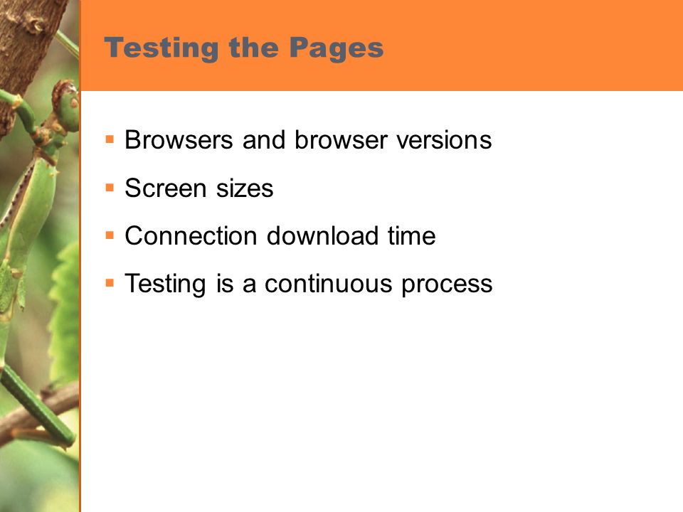 Testing the Pages  Browsers and browser versions  Screen sizes  Connection download time  Testing is a continuous process