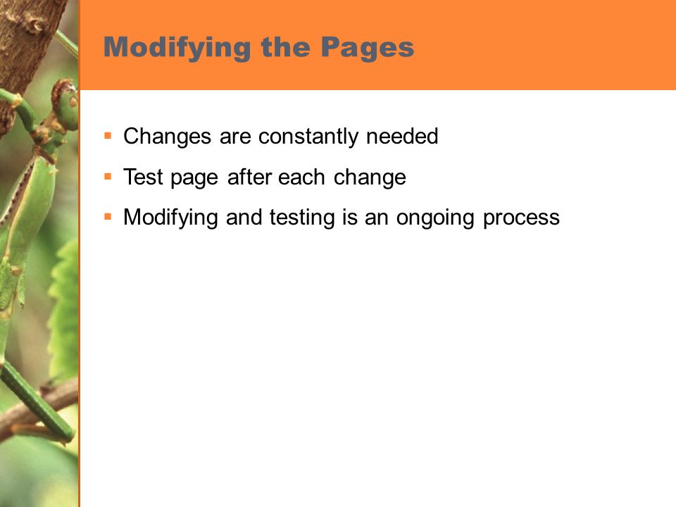 Modifying the Pages  Changes are constantly needed  Test page after each change  Modifying and testing is an ongoing process