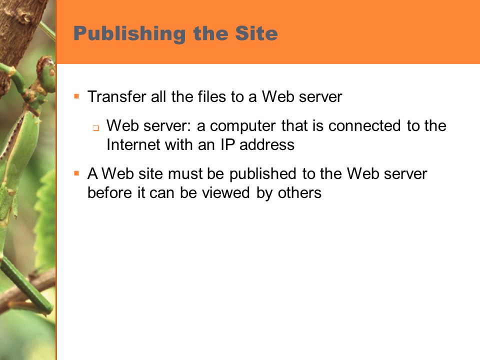 Publishing the Site  Transfer all the files to a Web server  Web server: a computer that is connected to the Internet with an IP address  A Web site must be published to the Web server before it can be viewed by others