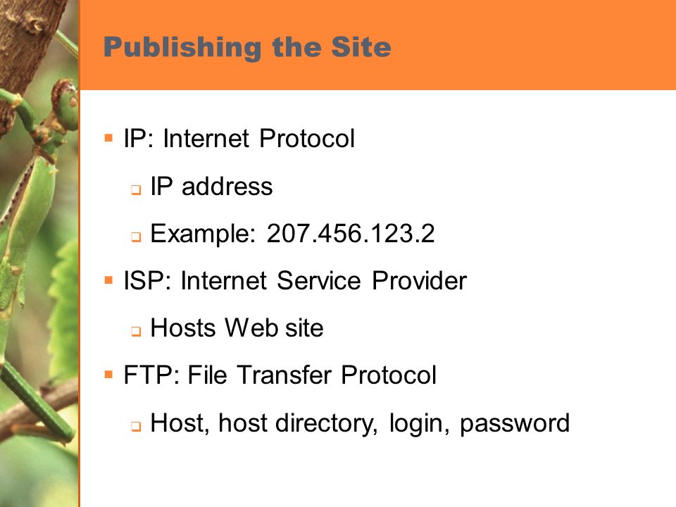 Publishing the Site  IP: Internet Protocol  IP address  Example:  ISP: Internet Service Provider  Hosts Web site  FTP: File Transfer Protocol  Host, host directory, login, password