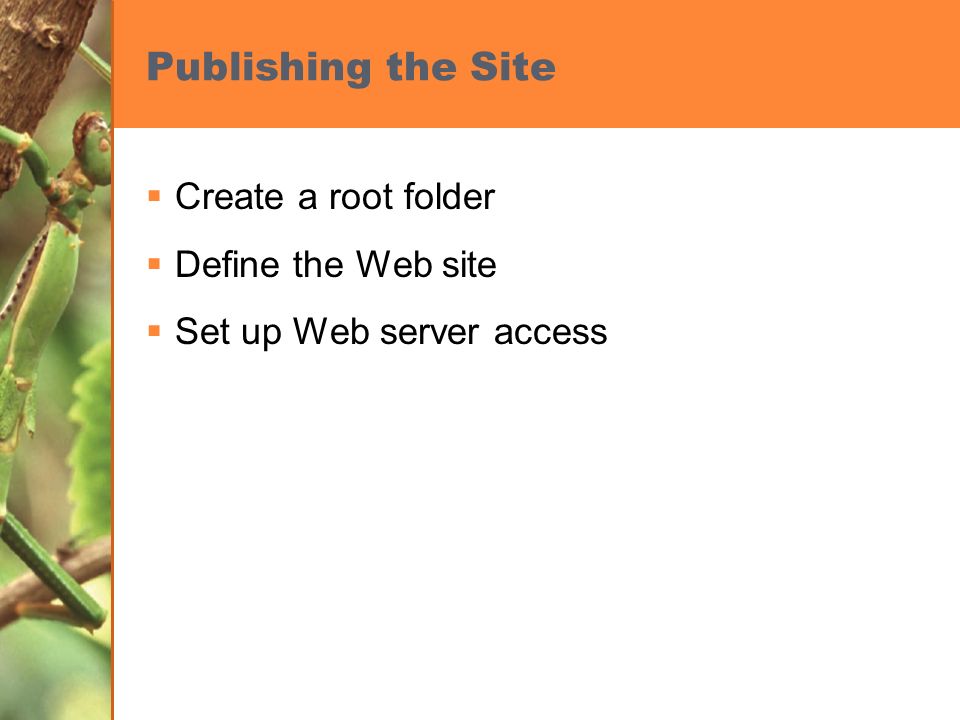 Publishing the Site  Create a root folder  Define the Web site  Set up Web server access