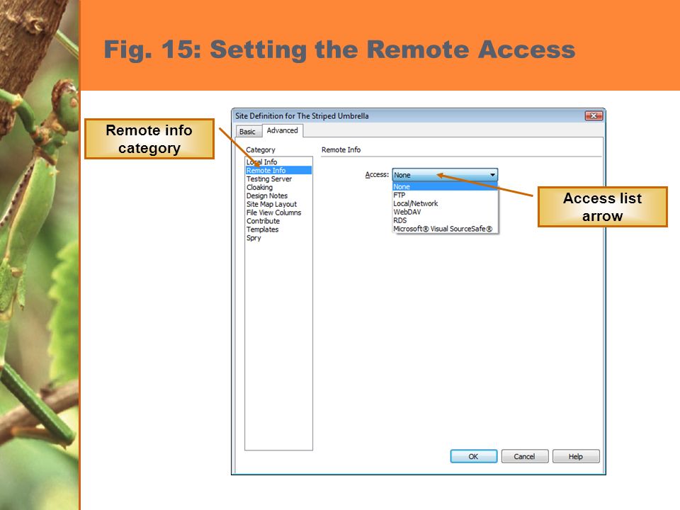 Fig. 15: Setting the Remote Access Remote info category Access list arrow