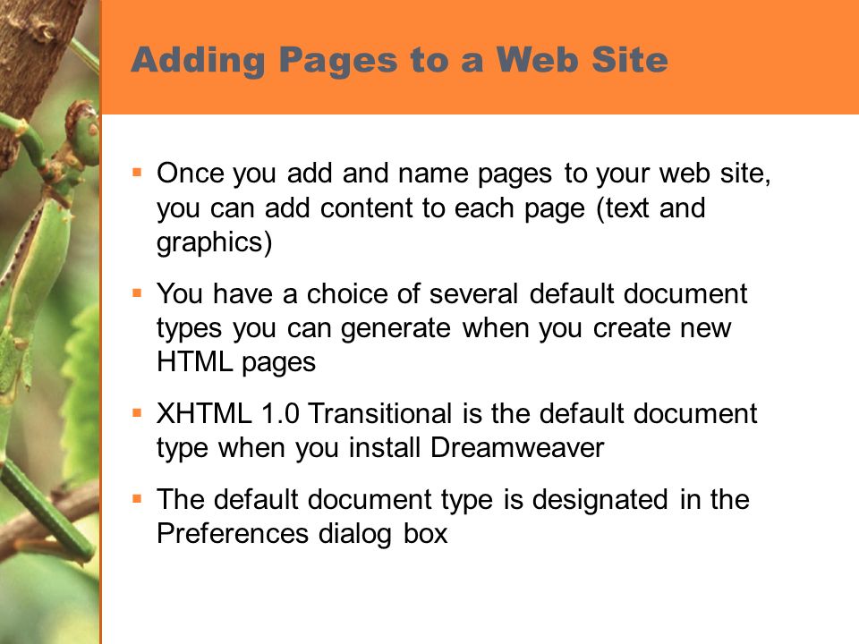 Adding Pages to a Web Site  Once you add and name pages to your web site, you can add content to each page (text and graphics)  You have a choice of several default document types you can generate when you create new HTML pages  XHTML 1.0 Transitional is the default document type when you install Dreamweaver  The default document type is designated in the Preferences dialog box