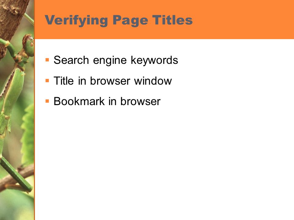 Verifying Page Titles  Search engine keywords  Title in browser window  Bookmark in browser