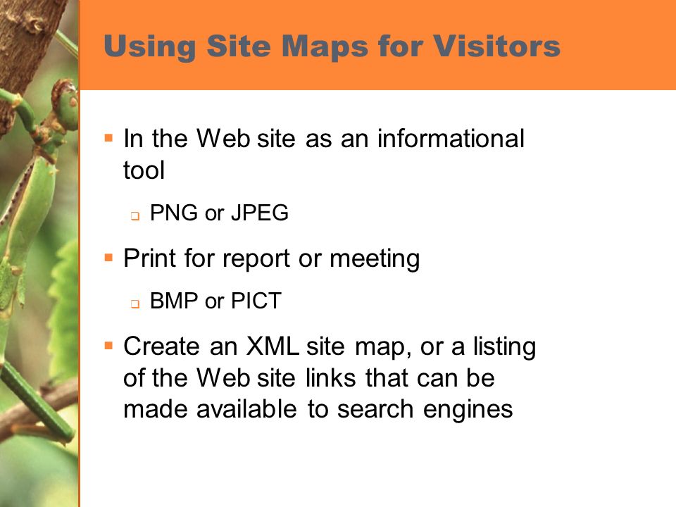 Using Site Maps for Visitors  In the Web site as an informational tool  PNG or JPEG  Print for report or meeting  BMP or PICT  Create an XML site map, or a listing of the Web site links that can be made available to search engines