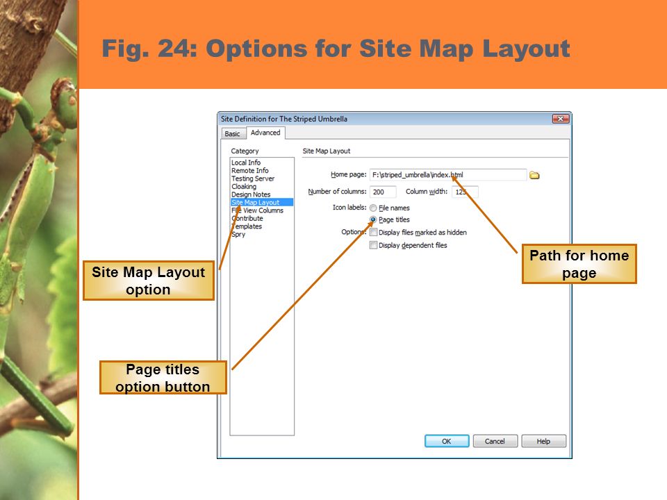 Site Map Layout option Page titles option button Path for home page Fig.
