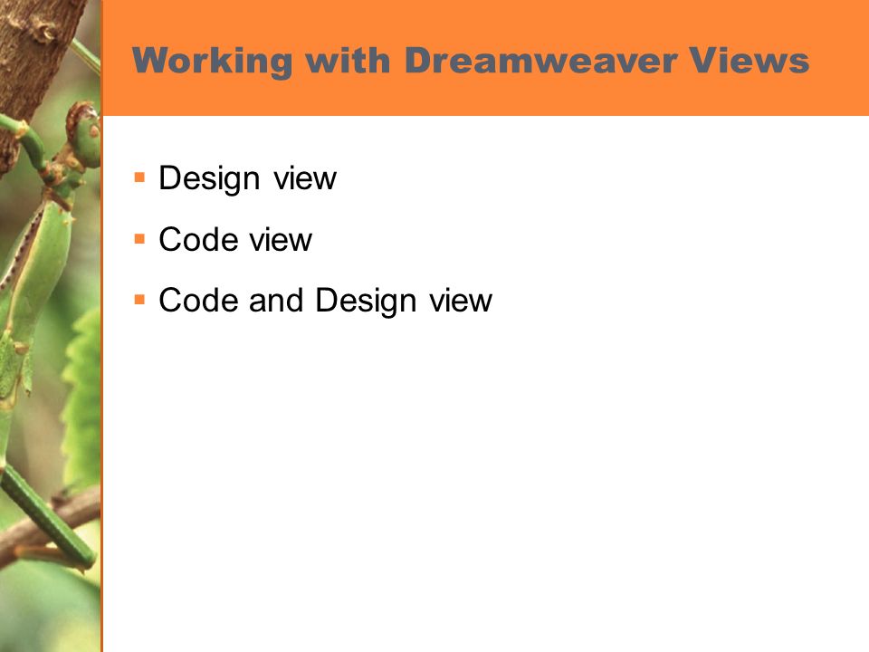 Working with Dreamweaver Views  Design view  Code view  Code and Design view