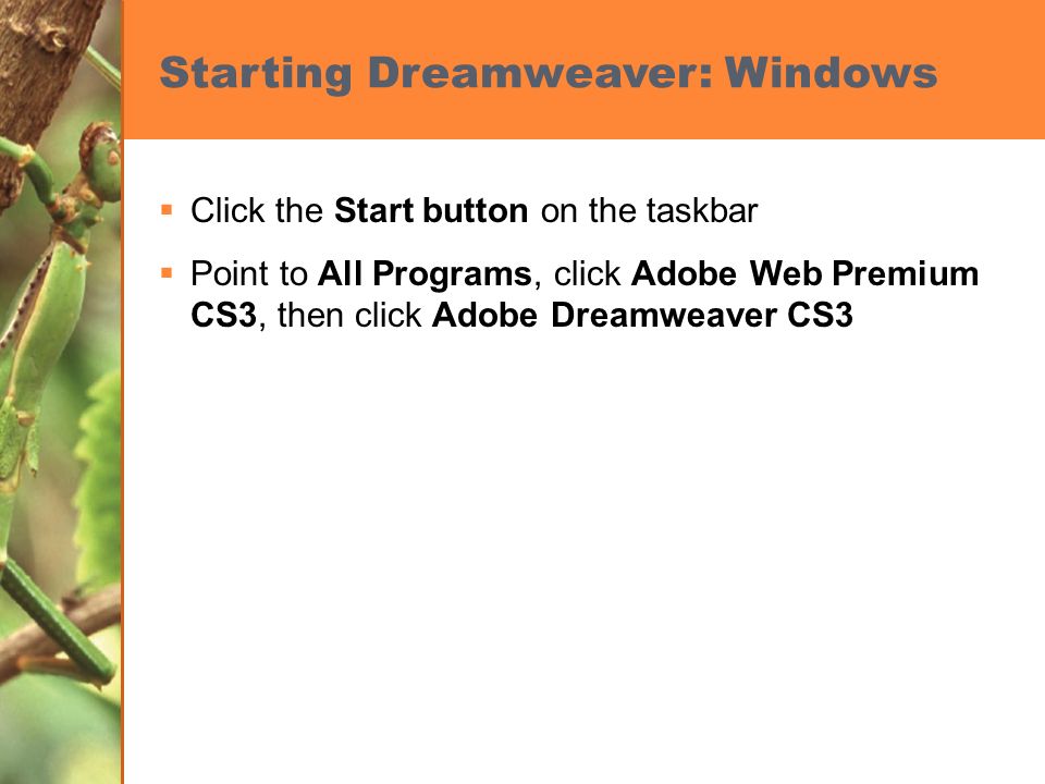 Starting Dreamweaver: Windows  Click the Start button on the taskbar  Point to All Programs, click Adobe Web Premium CS3, then click Adobe Dreamweaver CS3