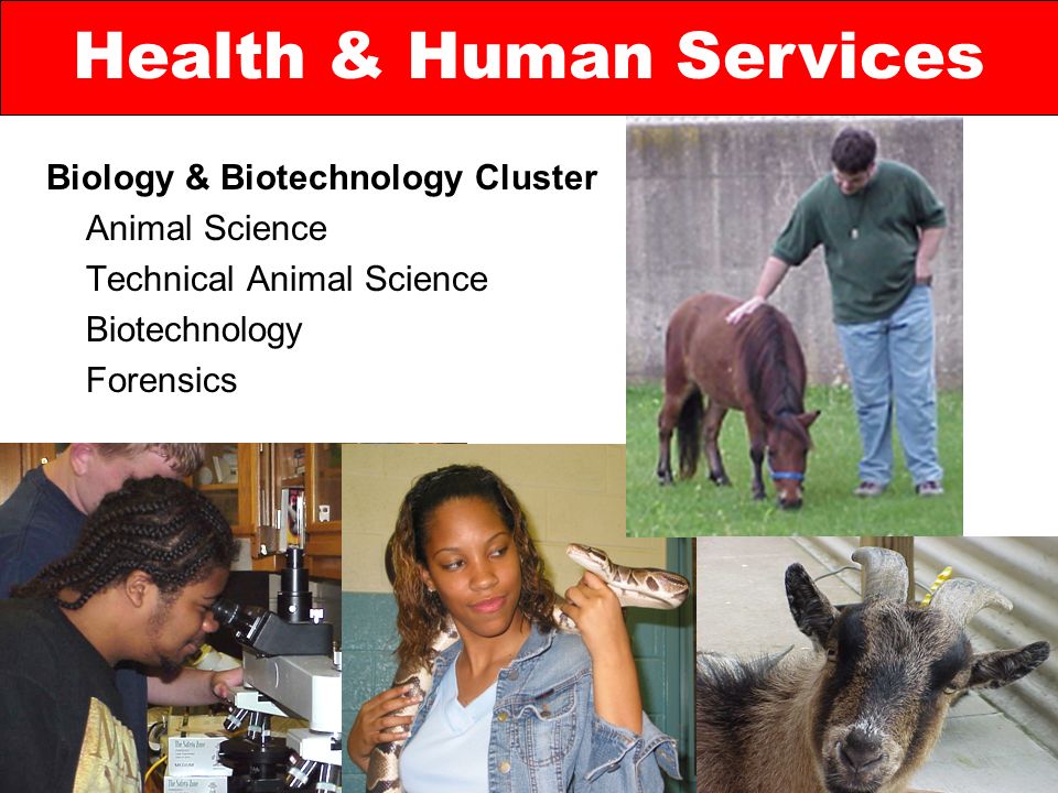 Biology & Biotechnology Cluster Animal Science Technical Animal Science Biotechnology Forensics Health & Human Services