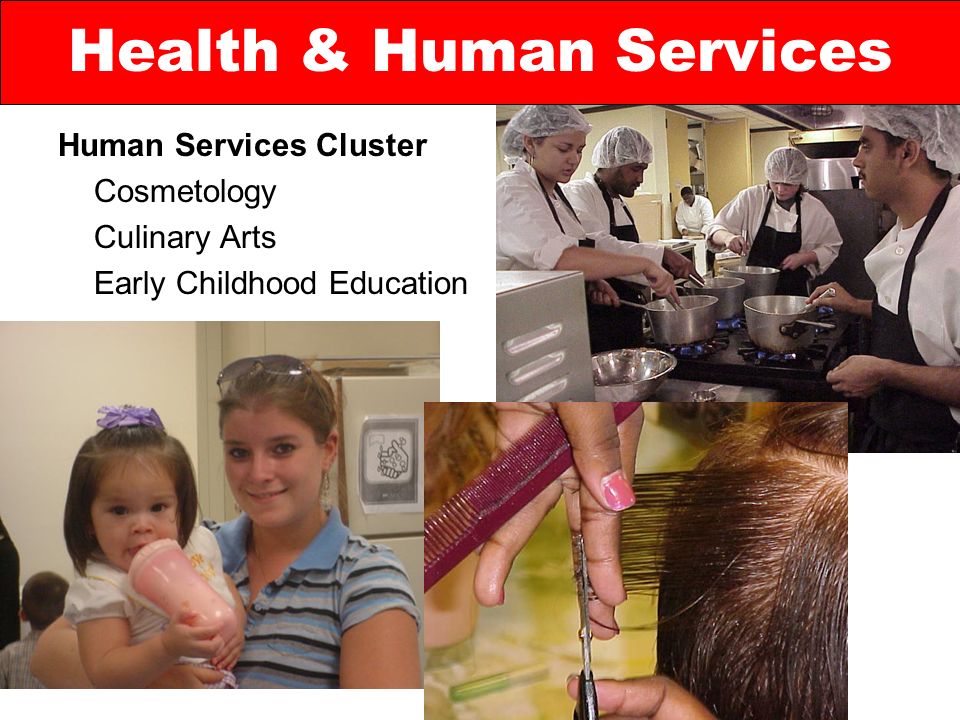 Human Services Cluster Cosmetology Culinary Arts Early Childhood Education