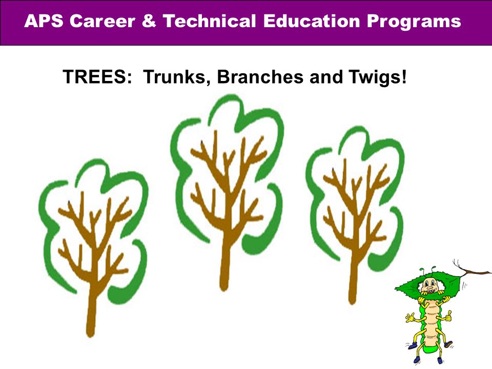 APS Career & Technical Education Programs TREES: Trunks, Branches and Twigs!