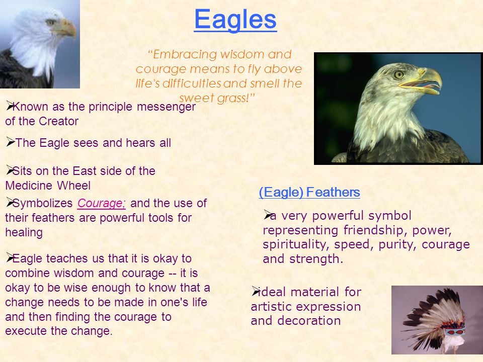 Eagles  Known as the principle messenger of the Creator  The Eagle sees and hears all  Sits on the East side of the Medicine Wheel  Symbolizes Courage; and the use of their feathers are powerful tools for healing  Eagle teaches us that it is okay to combine wisdom and courage -- it is okay to be wise enough to know that a change needs to be made in one s life and then finding the courage to execute the change.